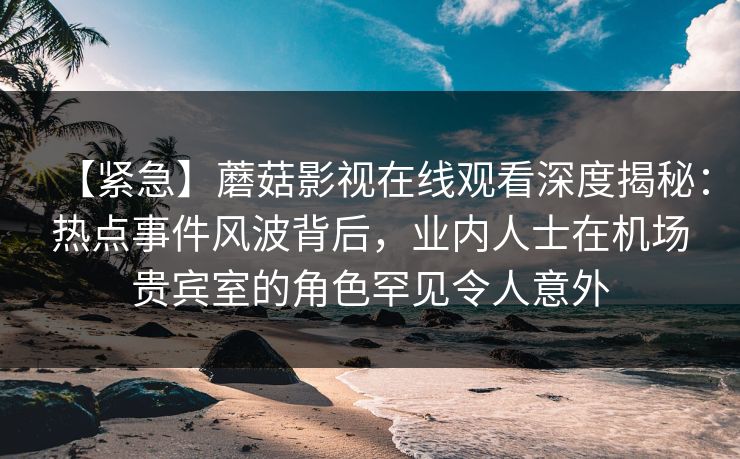 【紧急】蘑菇影视在线观看深度揭秘：热点事件风波背后，业内人士在机场贵宾室的角色罕见令人意外