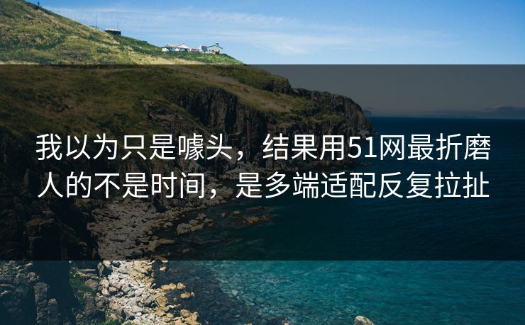 我以为只是噱头，结果用51网最折磨人的不是时间，是多端适配反复拉扯