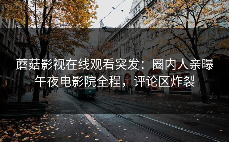 蘑菇影视在线观看突发：圈内人亲曝午夜电影院全程，评论区炸裂