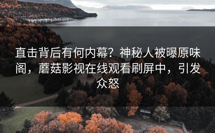 直击背后有何内幕？神秘人被曝原味阁，蘑菇影视在线观看刷屏中，引发众怒