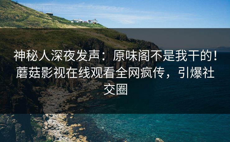 神秘人深夜发声：原味阁不是我干的！蘑菇影视在线观看全网疯传，引爆社交圈