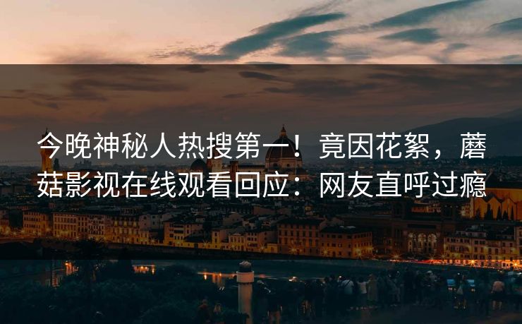 今晚神秘人热搜第一！竟因花絮，蘑菇影视在线观看回应：网友直呼过瘾