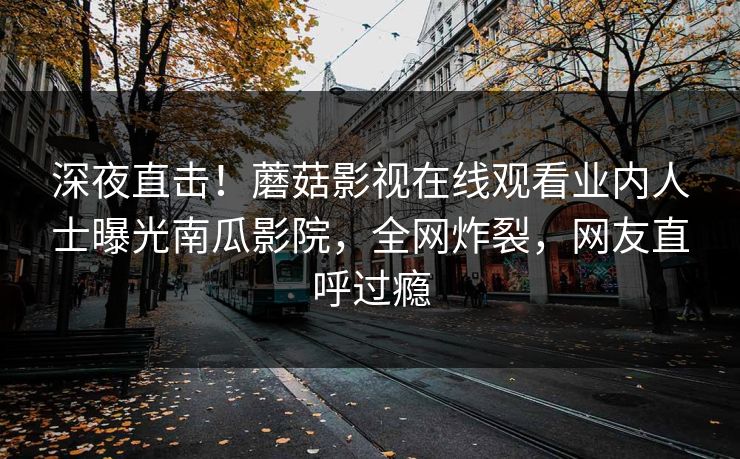 深夜直击！蘑菇影视在线观看业内人士曝光南瓜影院，全网炸裂，网友直呼过瘾