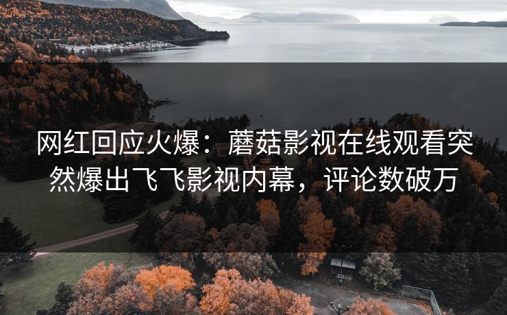 网红回应火爆：蘑菇影视在线观看突然爆出飞飞影视内幕，评论数破万