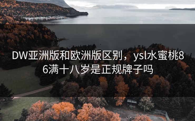 DW亚洲版和欧洲版区别，ysl水蜜桃86满十八岁是正规牌子吗